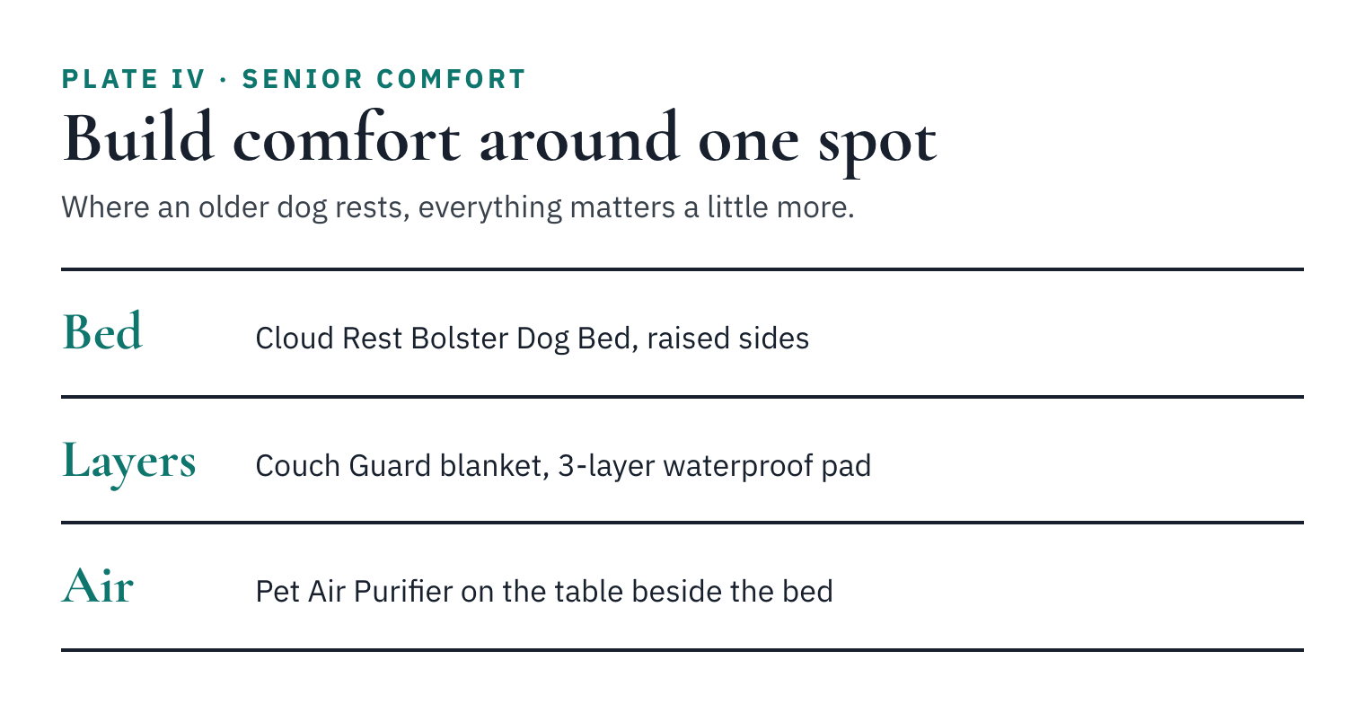 Card showing a senior dog comfort spot: bolster bed, waterproof blanket and pad, and a small purifier beside the bed.