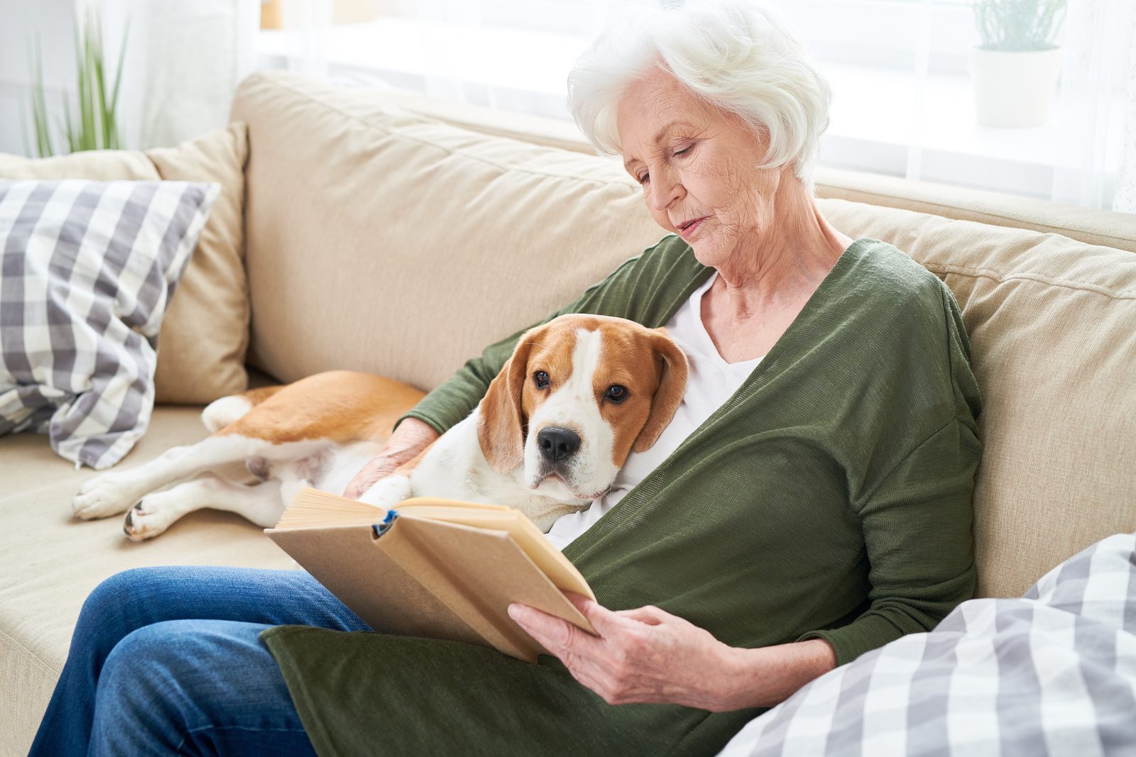 Older woman reading a book on a sofa at home while a beagle rests against her lap in soft daylight