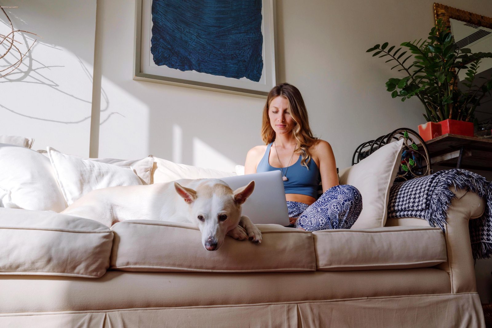A woman works on a laptop on a cream sofa in a sunlit living room while a pale dog rests its head on the cushion.