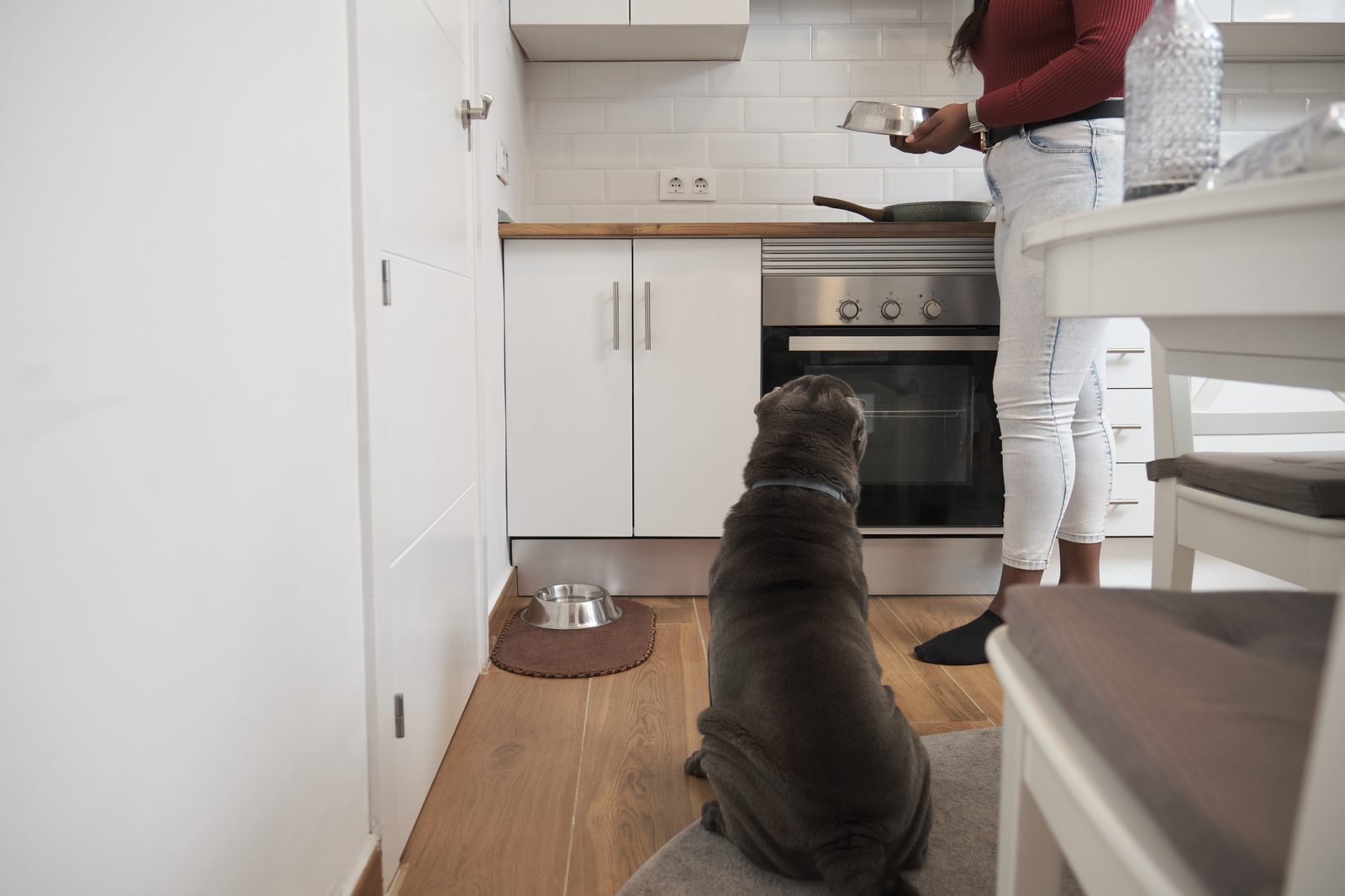 A grey Shar Pei sits on a wooden kitchen floor beside its steel food bowl, watching a woman cook at the stove in a small home kitchen