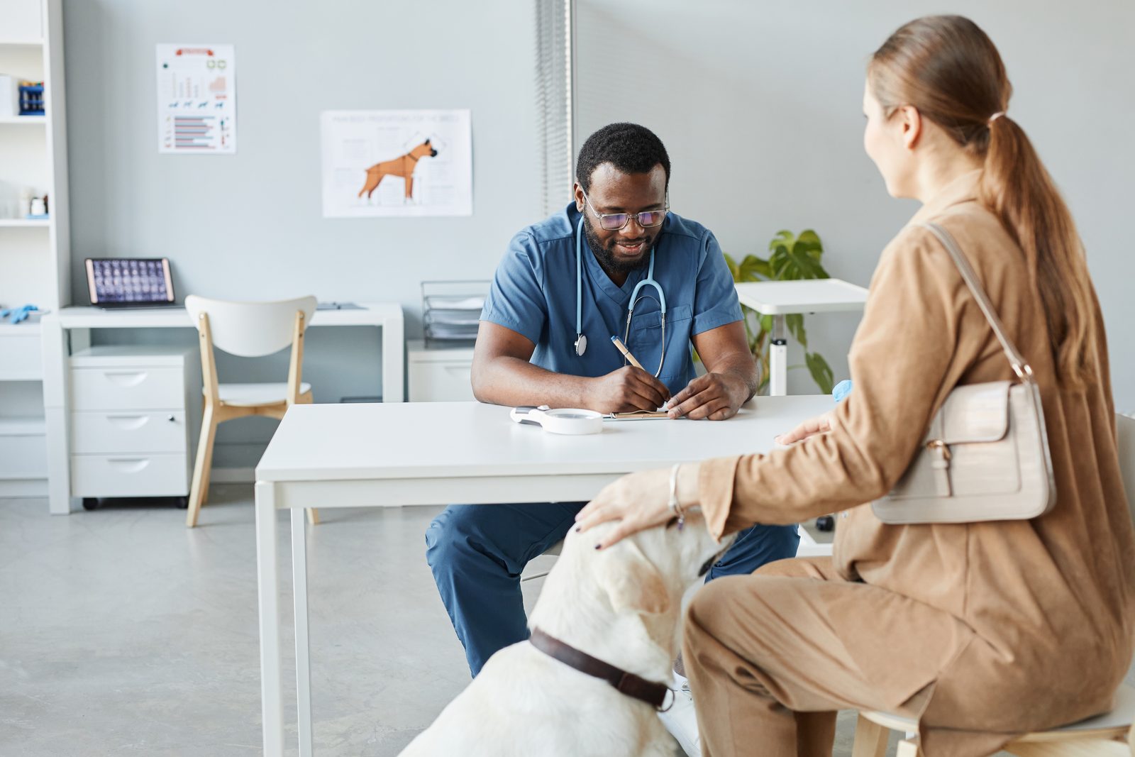 A veterinarian in blue scrubs writes notes at a white desk across from a woman whose pale Labrador sits beside her chair.